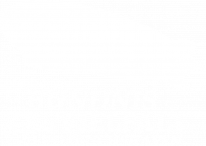 BfV_Logo_neu_weiß-08-07